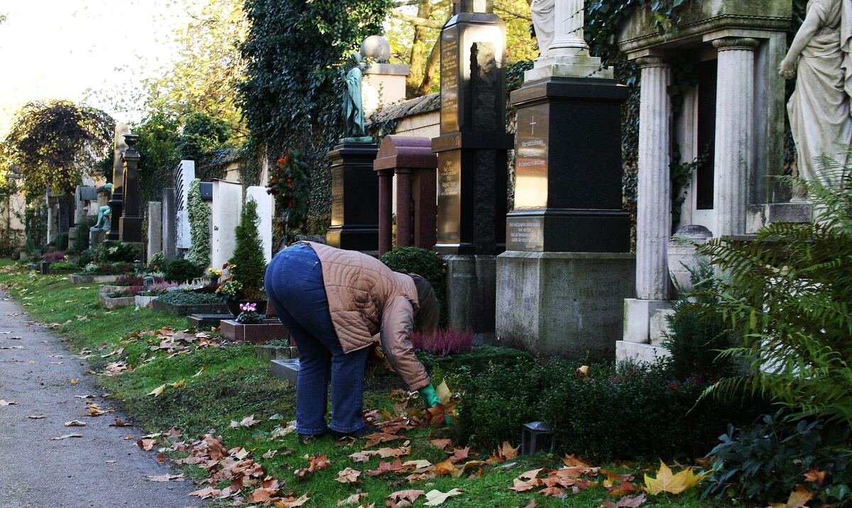A person quietly tending plants and clearing leaves at a graveside