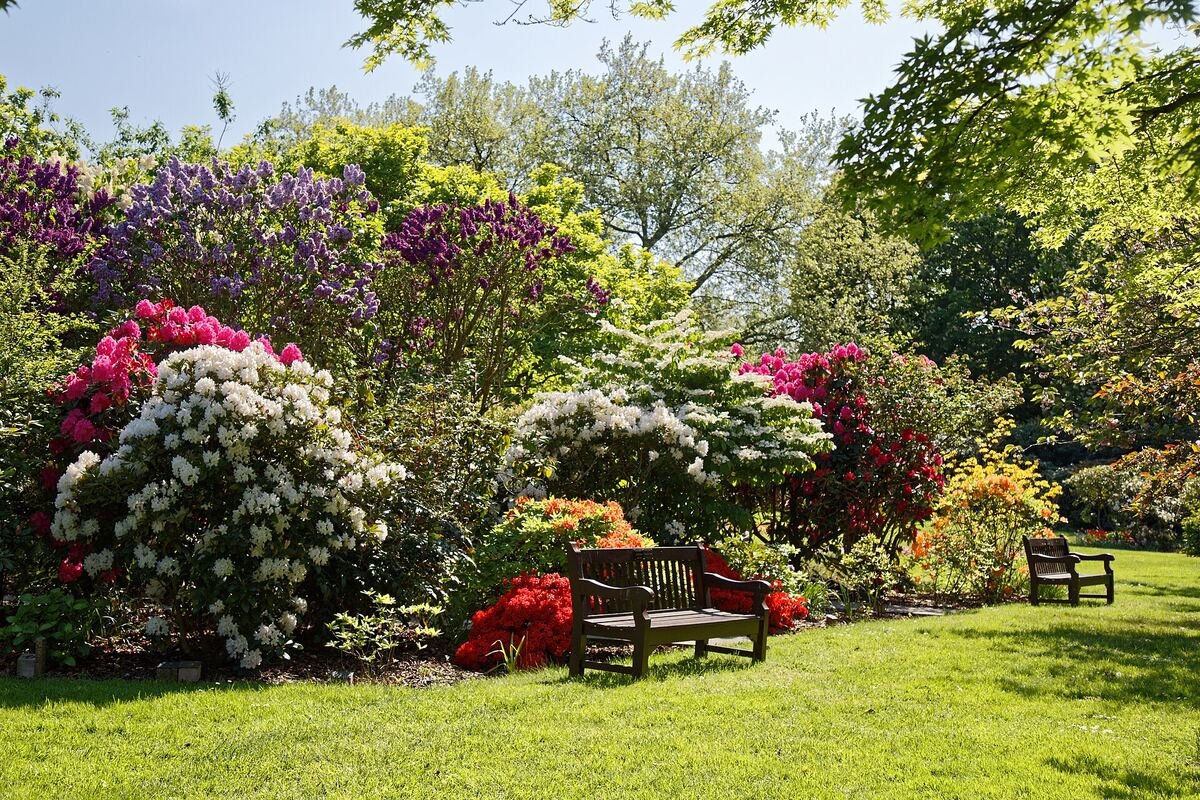 A park bench beside flowering shrubs in cemetery grounds