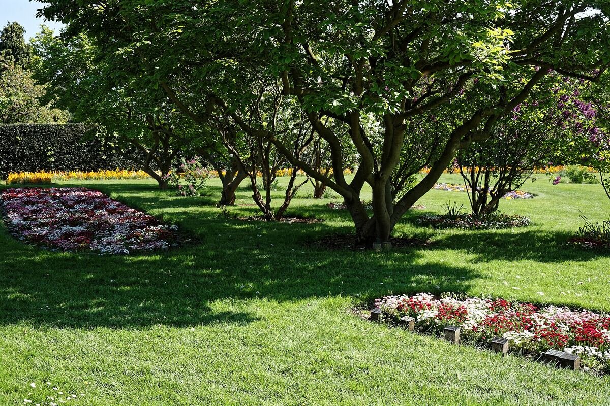 A memorial garden with mown lawn, shrub borders and mature trees