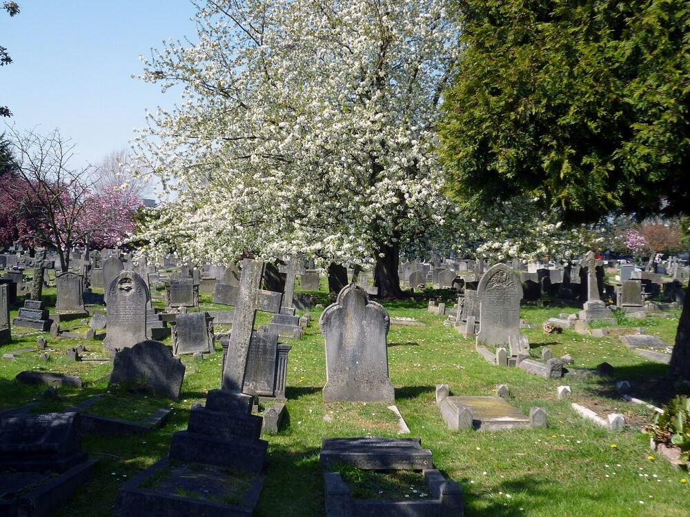 Spring blossom and bulbs planted around graves in a UK cemetery