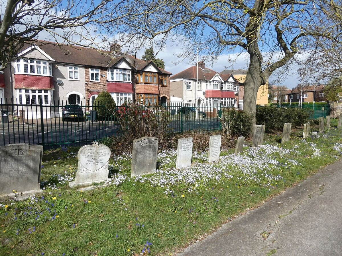 Headstones in a UK cemetery surrounded by spring crocuses and daffodils